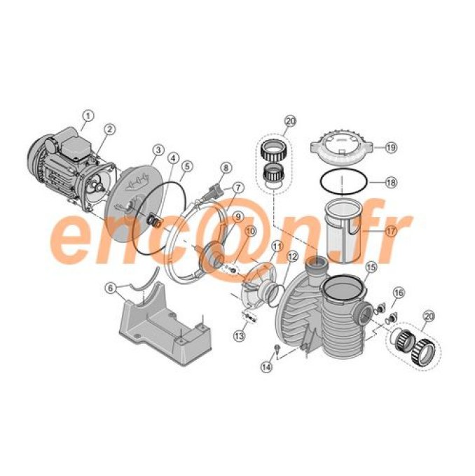 Pièces détachées de pompe Sta-Rite 5P6R MAX-E-PRO - R39006000 (U9-228A ou U9228A)