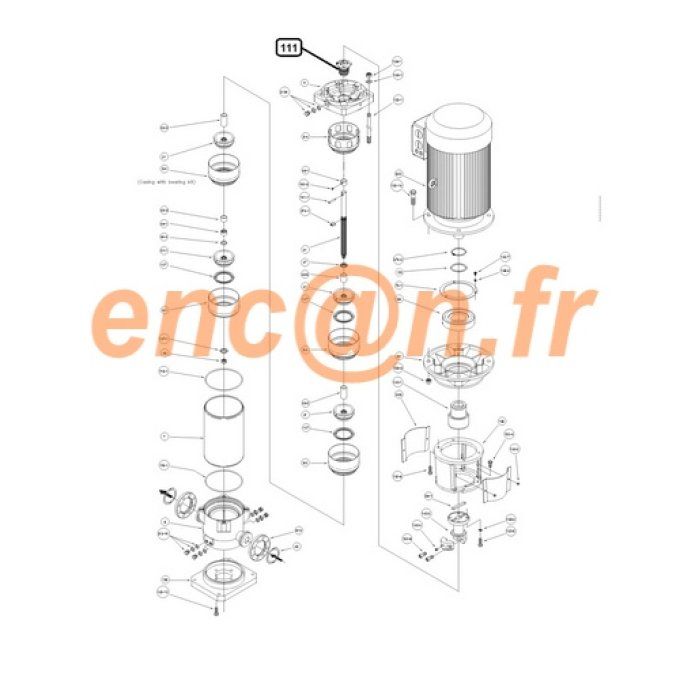 Pièces détachées de pompe Ebara EVM série 32 - 45 et 64 (364500028)